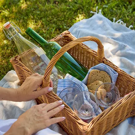 Csend,elet,regec * Regec