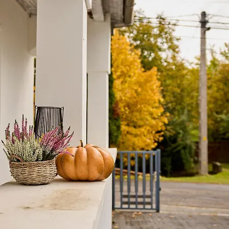 Apartament Csend,elet,regec Regec