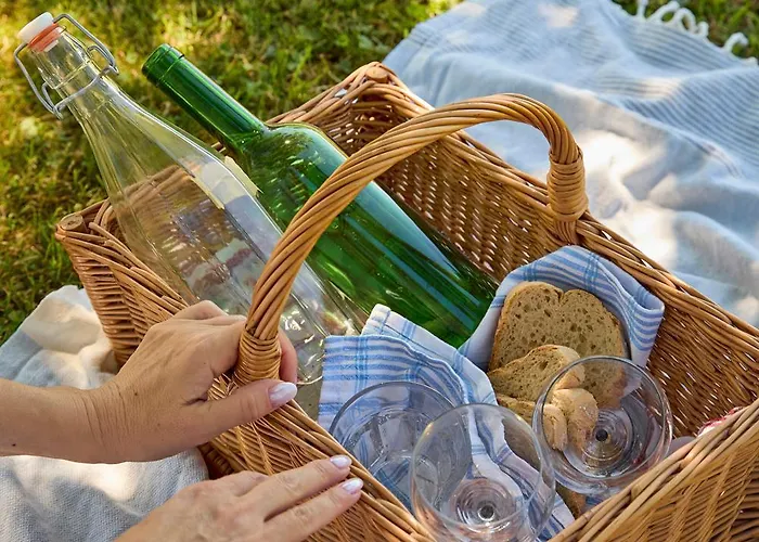 Csend,elet,regec * Regec